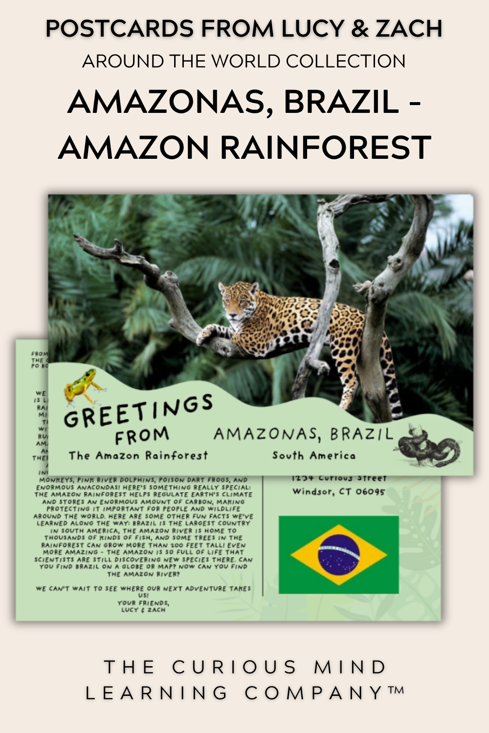 Postcards | Amazonas, Brazil - The Amazon Rainforest | Physical Mail Edition