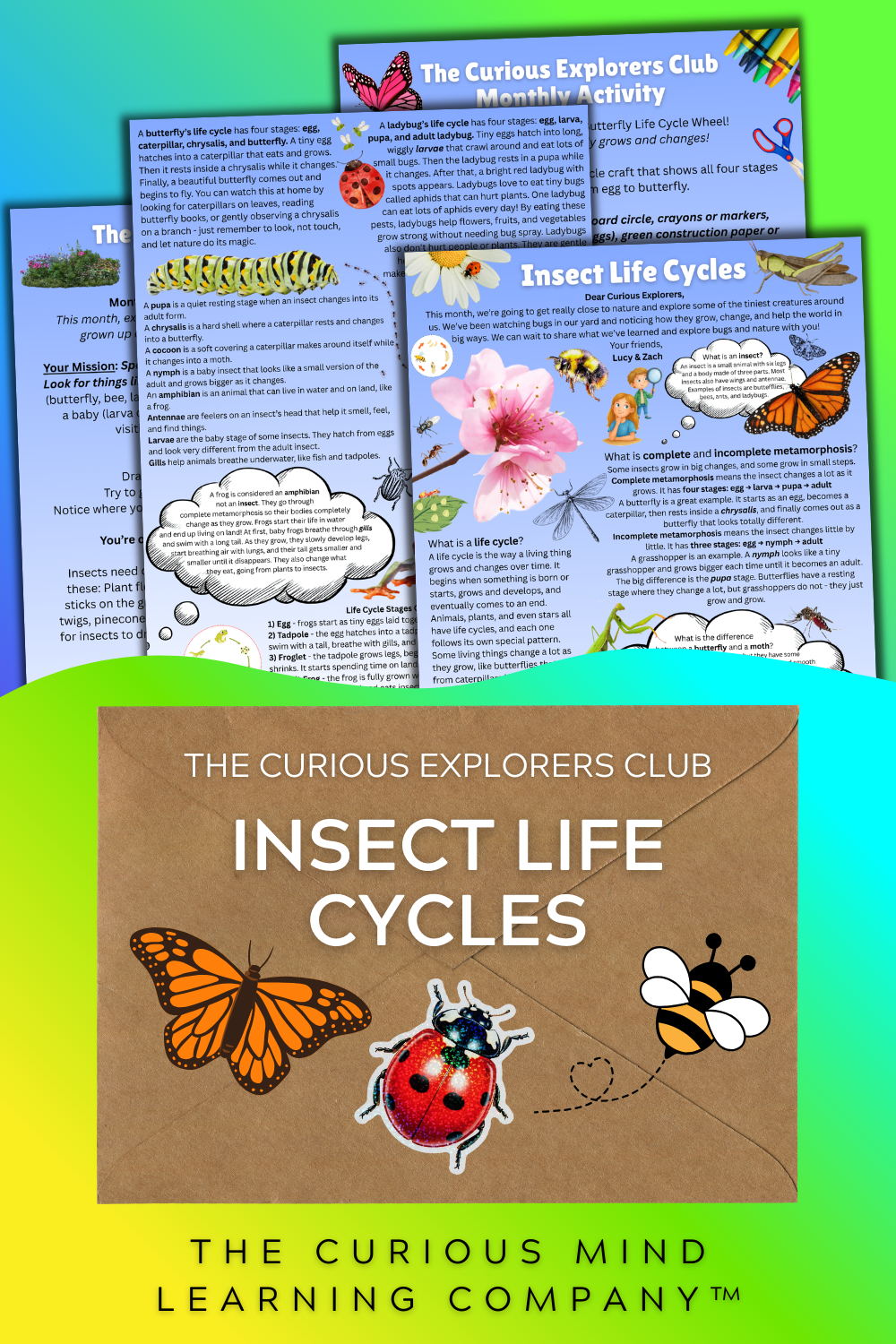 Insect Life Cycles Letter | The Curious Explorers Club | Physical Mail Edition