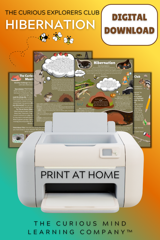 Hibernation Letter | Digital Download